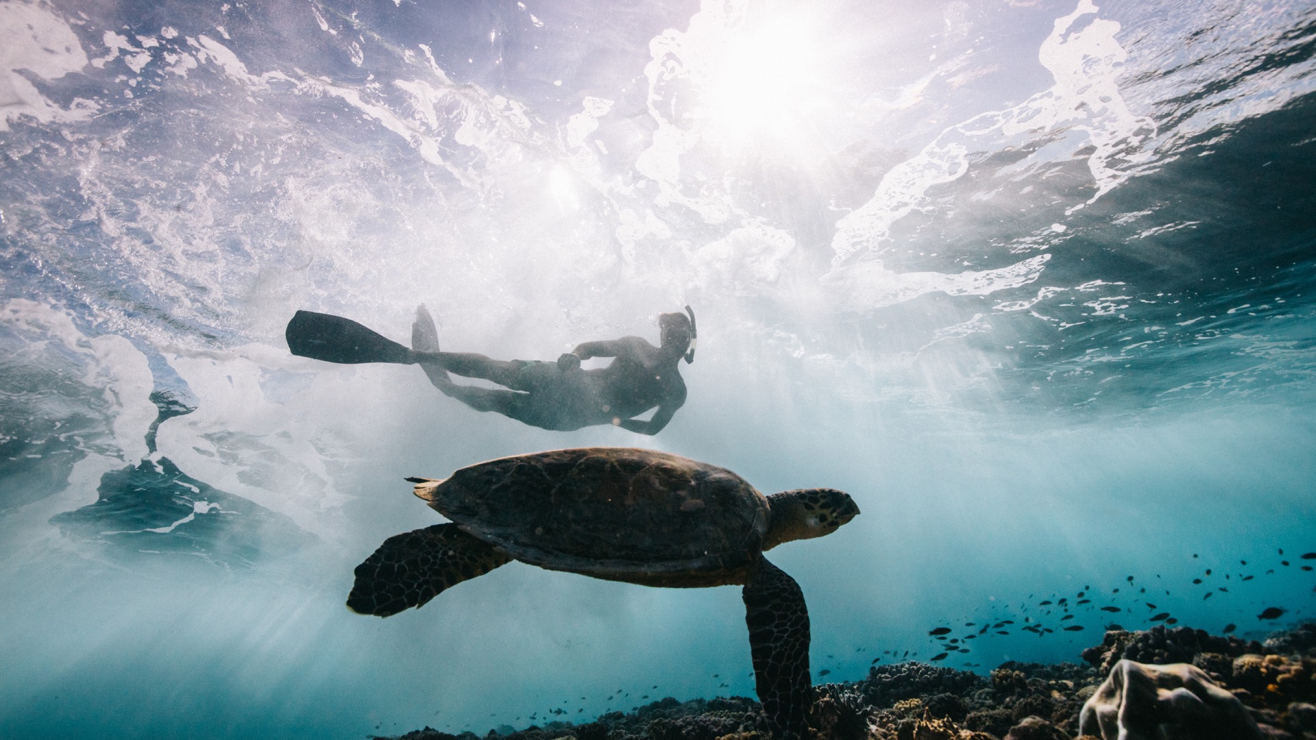 Community And Conservation Rangers Oceans Without Borders Community And Conservation Rangers Oceans Without Borders